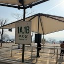 남편이랑 설레는 에버랜드 데이트!