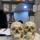 에버엠치과의원 이미지