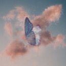 나비(NAVI) 이미지