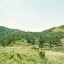 서상동140 이미지