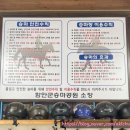 장구 야간/중급 | 함안군승마공원 직장인야간승마 강습 생생후기🐴🩷 2부 장안편