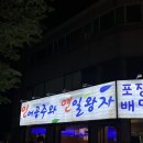 공주와 양이 | [월평동 횟집 추천] 인어공주와 연일왕자 월평점 솔직후기 (대전 야장 횟집)