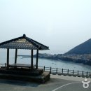 예송갯돌해변 Daum카페
