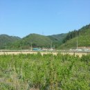 청정가든 이미지