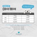 위드랜드 | 동탄 롯데백화점 애견동반 복합문화공간 애견카페 위드랜드