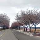 양양농협주유소 이미지