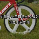 비엘비 | 비엘비 노토리우스 오발이 소개후 사용후기!!