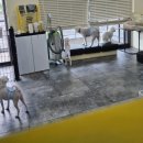 안녕, 상이 친구들! 이미지