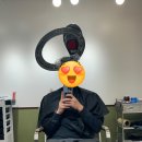 톤온톤맨즈헤어혁신점