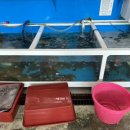 아재 수산 이미지