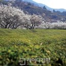 하동 이미지