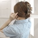 리오인터내셔날