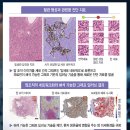 네이쳐엔지니어링 이미지