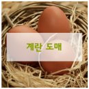청솔유통