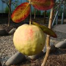 기현농장 이미지