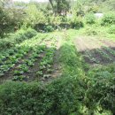 태극 당구장 이미지