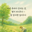 명원보석