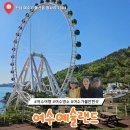 여수 예술랜드 부모님 또는 아이와 가볼만한 명소로 추천해요 내돈내산 후기에요