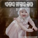 [돌스냅] 내생에 첫번째 선물 돌스냅 찐 후기