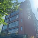 엑스백크리에이티브 | 헬리녹스 한남점 방문기 선셋체어 내돈내산 구매, 체어투 vs 하이백 vs 선셋체어 비교