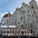 철망산복합시설 | 피렌체 두오모 돔 입장 방법 총정리｜브루넬레스키 패스 vs 조토패스 비교 후기