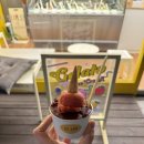 젤라떼리아단;사이 이미지