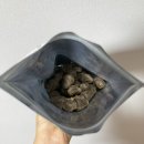 티렉스덴탈 이미지