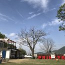 공주 프린세스 캠핑장 이미지