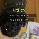 꼬리 흔드는 강아지 | 반려견 전문가가 만든 강아지 수제간식 추천｜카스테라처럼 촉촉한 테린 간식 솔직 후기