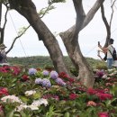 신안헬스케어 이미지