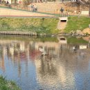 힐링산책코스 이미지