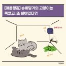 양자역학과 김춘수의 ‘꽃’=보는 것과 보이는 것의 불일치. 그리기란 재편된 시공간을 보는 것…양자...