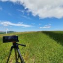 6월의 목장 이미지