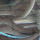 선창집장어구이 이미지