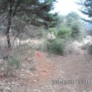 언별2리 이미지