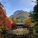 (백암/내장산) 울긋불긋 가을을 각자의 방식대로 즐기다 이미지