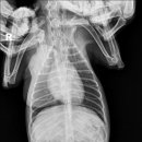 창현동물병원 이미지