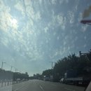 황금시장 입구 맞은편 | 대구 달성공원 새벽시장 일요일 8시 반 방문 후기 (바로 옆 주차 꿀팁, 포차 김밥)