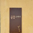 귤꽃스테이 | 제주 한경면 숙소 귤꽃스테이에서 하룻밤(독채#12명까지수용#잔디마당#제주전통돌담집#대가족)