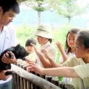 홍천농장 이미지