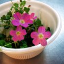 어떤하루2 이미지