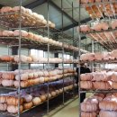 참샘골목장 이미지