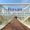 대왕암공원1(무인계수기) | 부산북구가볼만한곳 금빛노을 브릿지 가는법 주차 운영시간 총정리