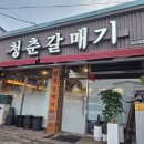청춘갈매기 이미지