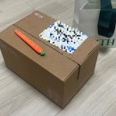 프로비디오 | 아이폰 17 프로맥스 실사용 후기