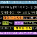 넬라스 이미지