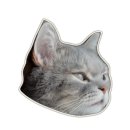 도그플러스 동물병원 이미지