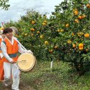 풍악농장 이미지