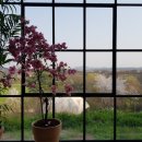 연두목장 이미지