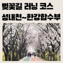 성내제6교 왼쪽 | [서울 러닝 코스] 성내천 벚꽃 러닝ㅣ성내천 ~ 한강합수부 5km(ft. 서울책보고)